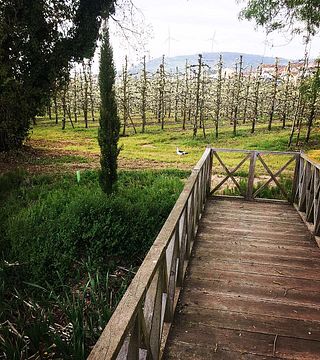 Visite des vignobles de Casa Romana Vini avec 5 dégustations de vins et accords gastronomiques