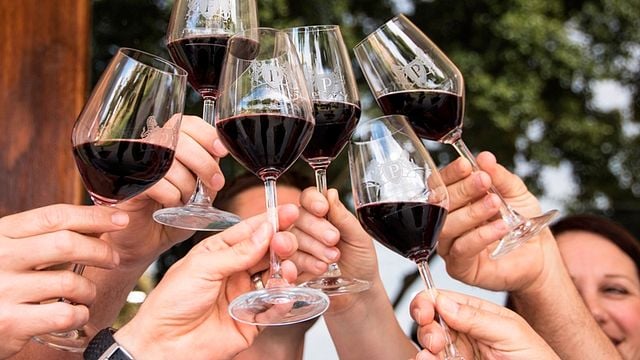 Dégustation de vins et visite à Perdeberg