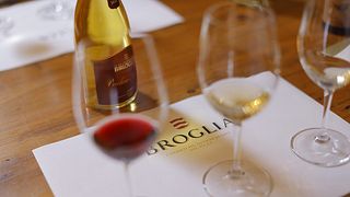 Explore Piedmont Wine & Vineyards at Broglia