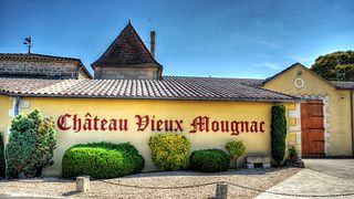 Ekologisk vinprovning och rundtur på Château Vieux Mougnac