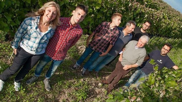 Weinprobe mit Vorspeisen und Kellereiführung bei Cantine Paolo Leo