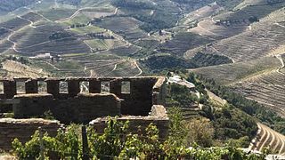 Degustação de Vinhos e Tapas na Quinta do Silval