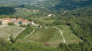 Piedmont Wine & Castle Tour at Il Girapoggio