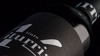 Degustação de vinhos e tour nas Bodegas Iturria