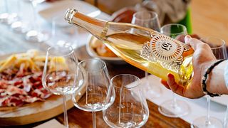 Degustação de vinhos e tour em Perla Del Garda