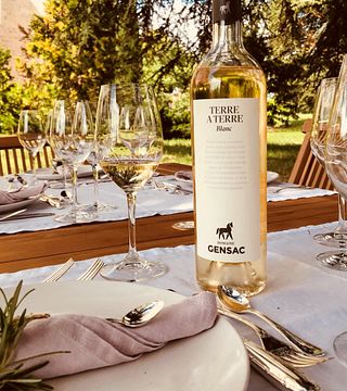 Wine Tasting and Tour at Château de Gensac