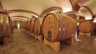 5 expresiones de Nebbiolo en Cantine Povero