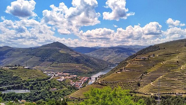 Cata de vinos del valle del Duero