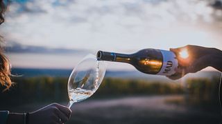 Degustazione di vini e visita al Mad Wine