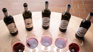 Montalcino: Weintour & Brunello-Verkostung