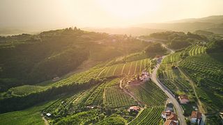 Exclusive use luxury villa-Peterc Vineyard Estate