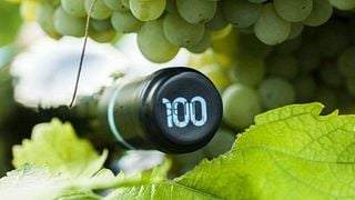 Dégustation de vins classiques et visite chez 100Igual
