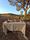 Dégustation de vin en pleine nature