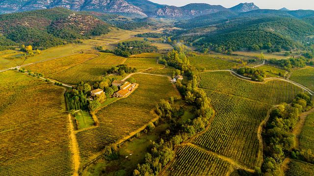 Cata de vinos y visita guiada en Terre des 2 Sources