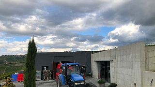 Dégustation de vins et visite à l'Azienda Agricola Pietro Rinaldi