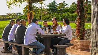 Douro Valley Wine Tour & Tasting at Quinta Vale d'Aldeia