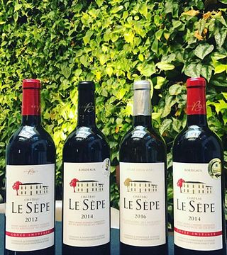 Weinprobe und Führung im Château Le Sèpe