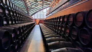 Visite des vins d'Arrábida