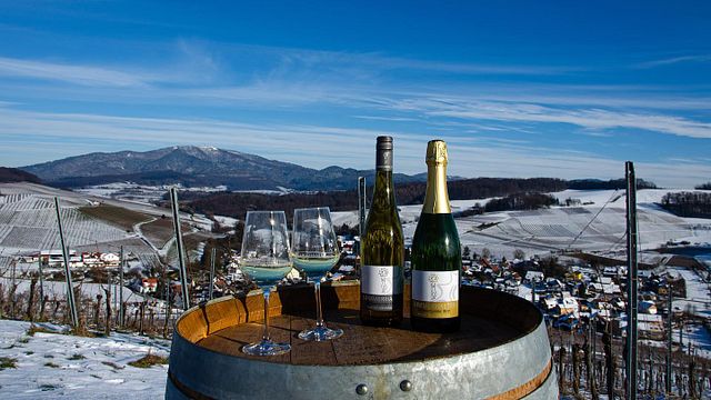 Cata de vinos en Weingut Sommerhalter
