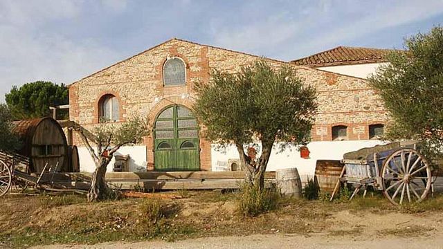 Tour e degustazione di vini premium al Domaine de Rombeau