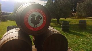 Privat rundtur: Chianti Classico eftermiddagstur med vinprovning 