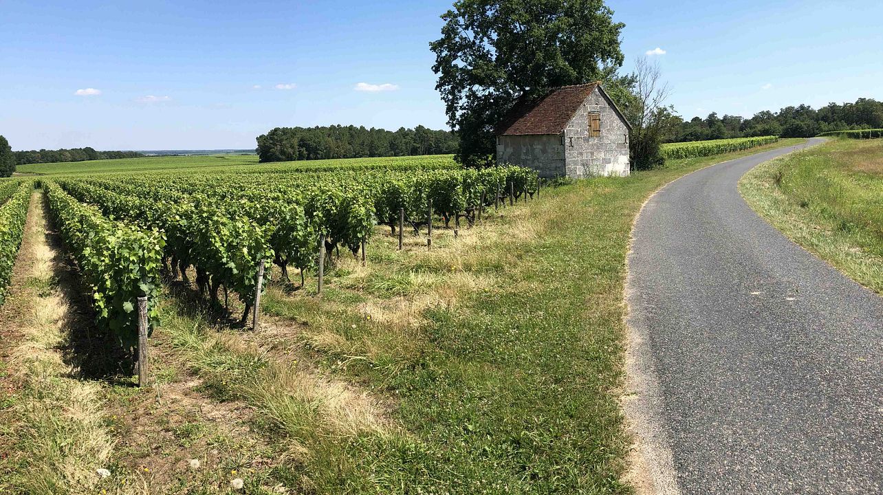 Alpha Loire Winery