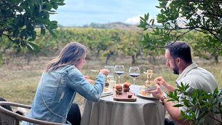 Tour di mezza giornata con degustazione di vini a Calvi e nell'Île Rousse.