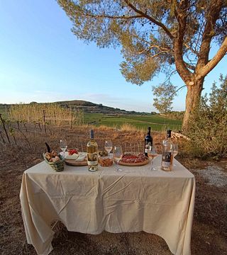 Wine tasting in the great outdoors