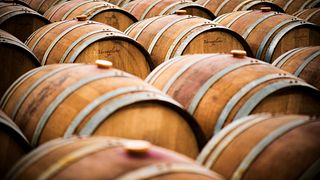 Degustação de vinhos e tour em Varvaglione 1921