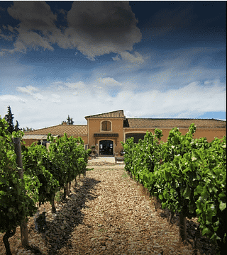 Degustazione di vini e tour al Domaine Les Ondines