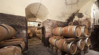 Santa Sofia Winery