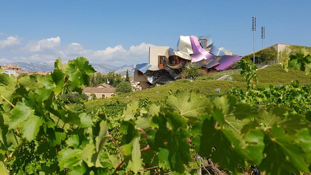 Tour pela vinícola de Rioja saindo de San Sebastian