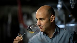 Vinprovning på Weingut Peter Lauer