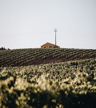 Degustazione Wine Lover alla Quinta De Sant'Ana