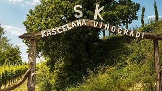 Wine tour with traditional bites