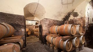 Dégustation de vins et visite à Santa Sofia