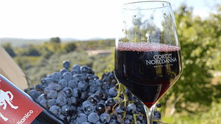 Degustazione e visita presso Corte Normanna Agricola