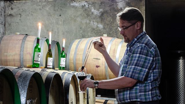Degustazione di vini e visita alla Weingut Gindorf