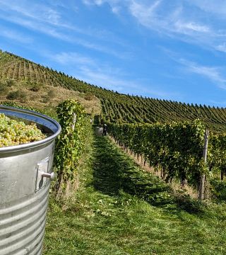 Weingut Dr. Leimbrock