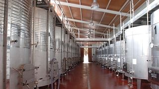 Balearic Wine & Views: Vinyes Mortitx Tasting Tour