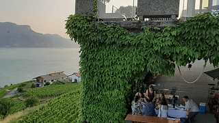 Vinprovningsvandring och gourmetpicknick från Vevey, Lavaux-regionen