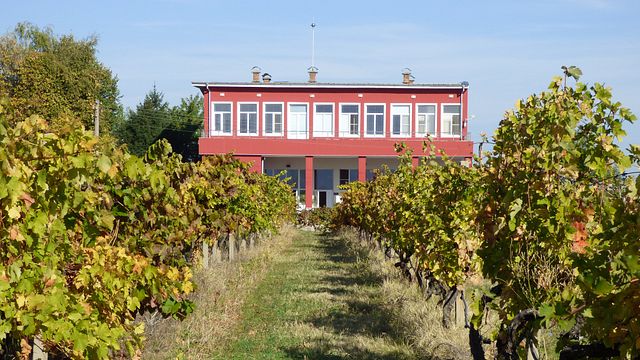 Ländliche Geschmackserlebnisse: Besuch eines akademischen Weinguts und Milchviehbetriebs