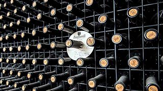Weinprobe und Führung bei Bodegas Bagordi