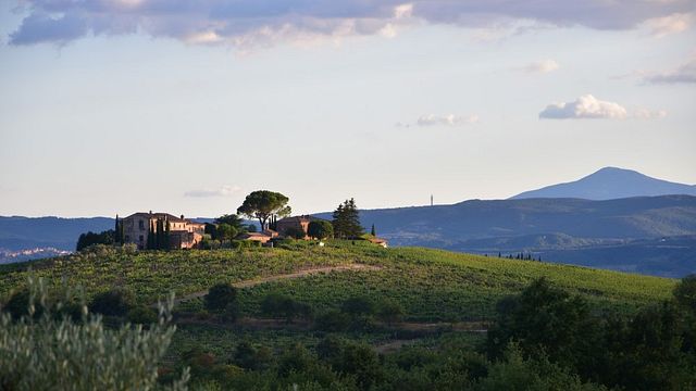 Palazzo Vecchio Winery