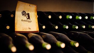 Vinprovning och rundtur på Kokkinos Winery