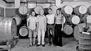 Explore Amarone & Valpolicella Wines in Veneto