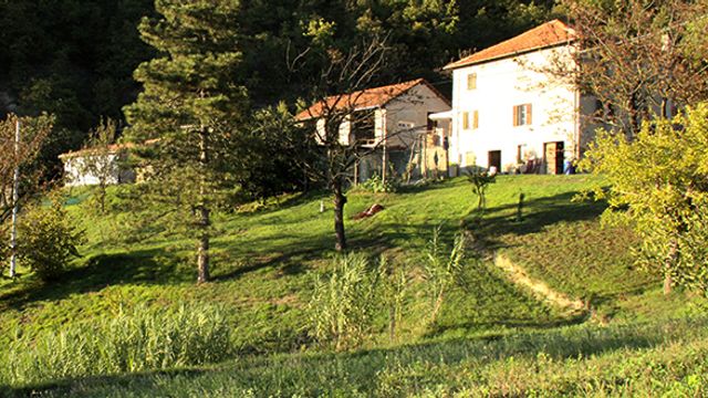 Wine Tasting at Cascina Roccabianca - Società Agricola Biologica