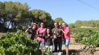 El Jardí dels Sentits Cellar