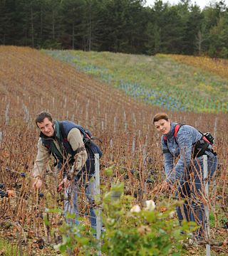 Degustazione di champagne e visita allo Champagne Falmet-Collot