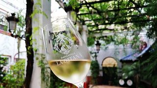 Andalusia Wine & Culture Tour at Hidalgo La Gitana